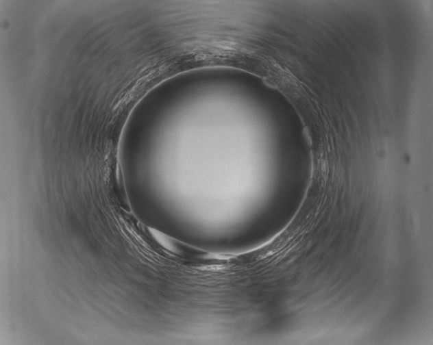 X0000054471012200508011455