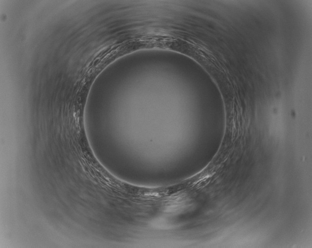 X0000054471013200508011455