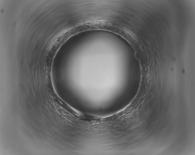 X0000054471016200508011455