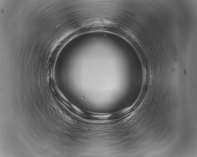 X0000054471018200508011455