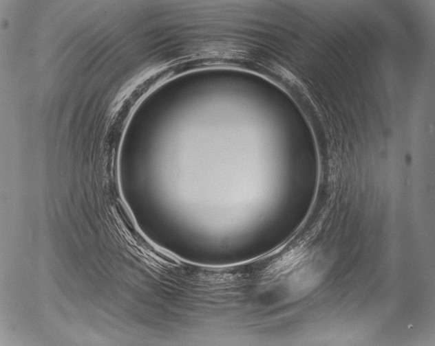 X0000054471019200508011455