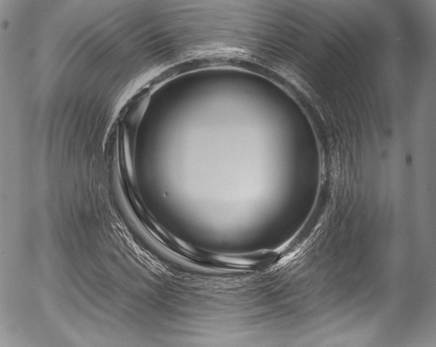 X0000054471022200508011455
