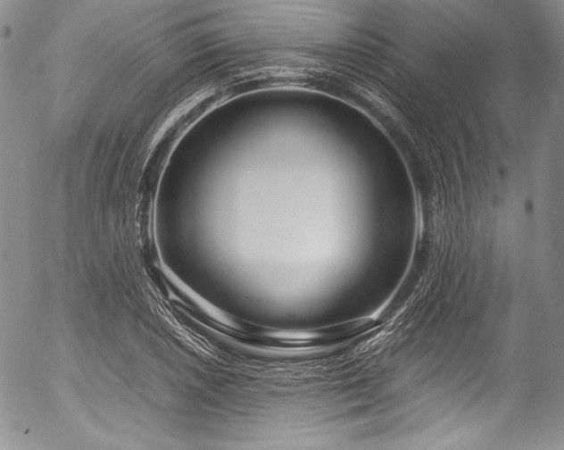 X0000054471026200508011455
