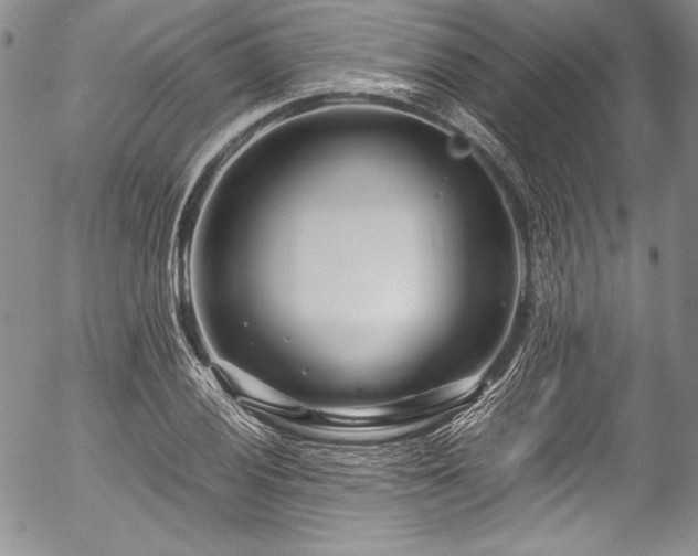 X0000054471028200508011455