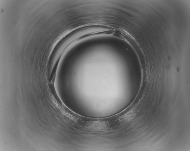 X0000054471029200508011455