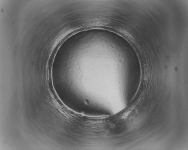 X0000054471031200508011455