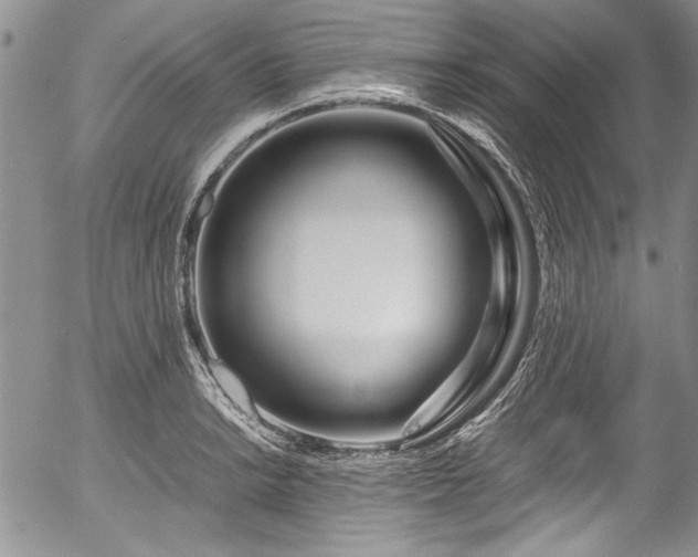 X0000054471038200508011456