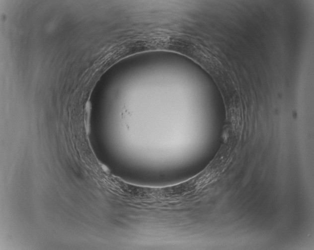 X0000054471057200508011455