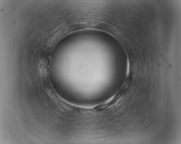 X0000054471058200508011455