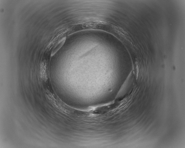 X0000054471060200508011455