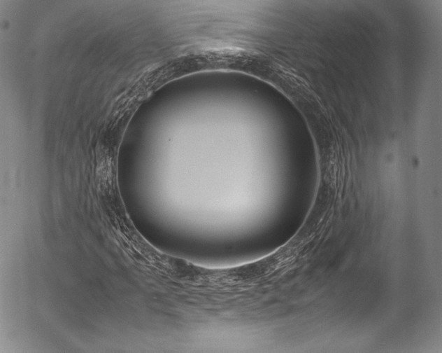 X0000054471061200508011455