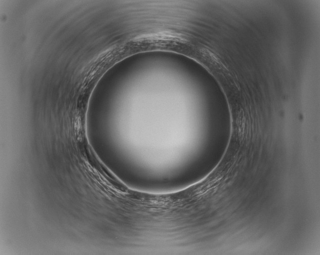 X0000054471062200508011455