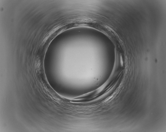 X0000054471065200508011455