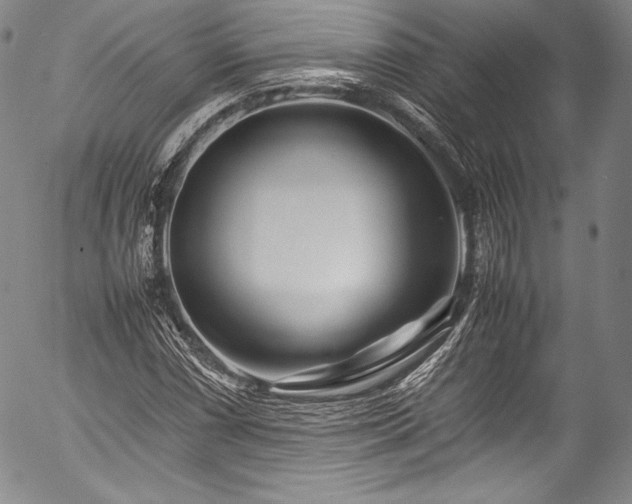 X0000054471066200508011455
