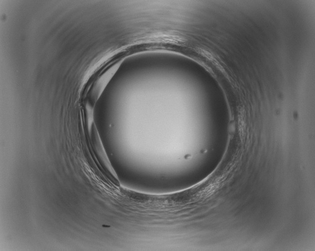 X0000054471069200508011455