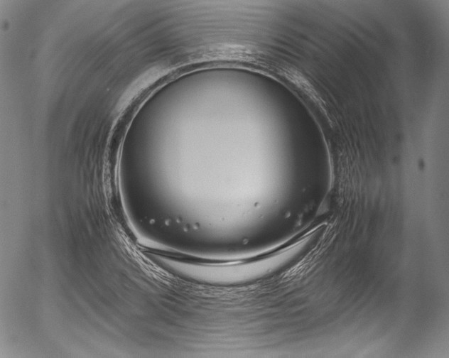 X0000054471072200508011455