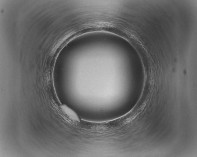 X0000054471073200508011455
