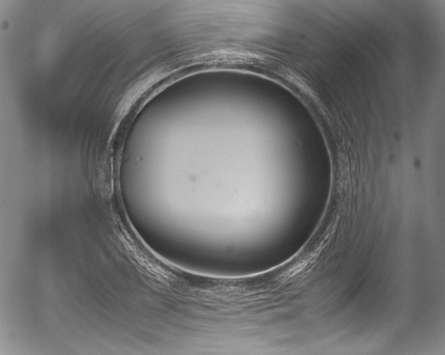 X0000054471075200508011455