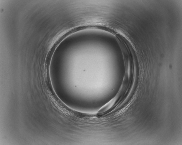 X0000054471077200508011455