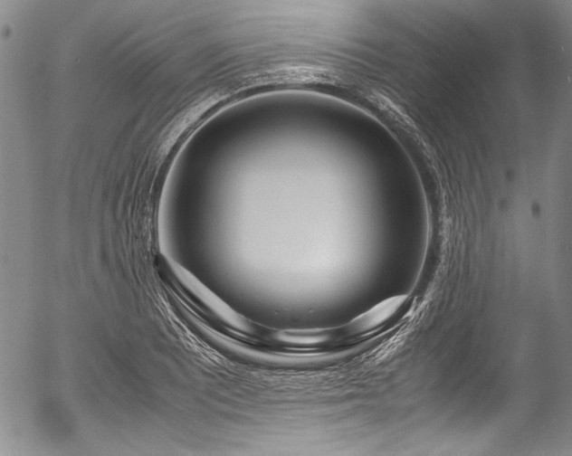 X0000054471081200508011455