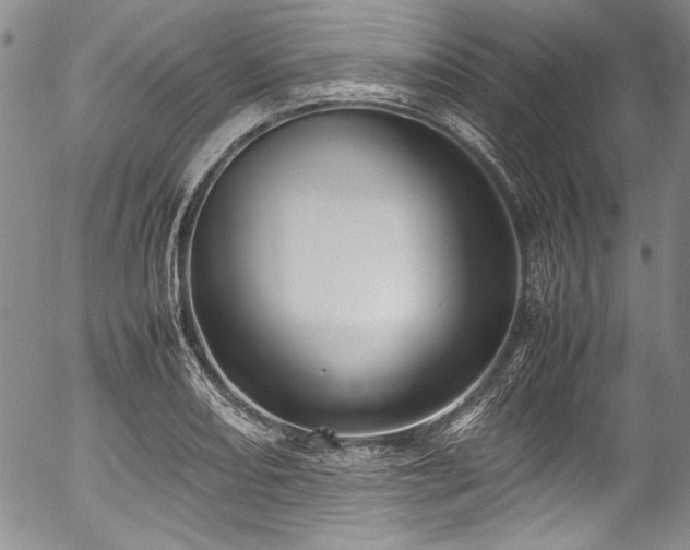 X0000054471082200508011455