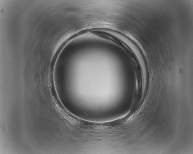 X0000054471085200508011454