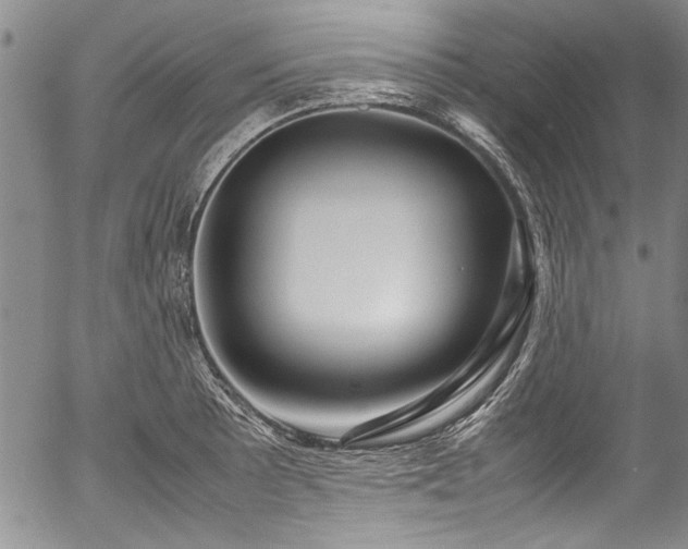 X0000054471089200508011454