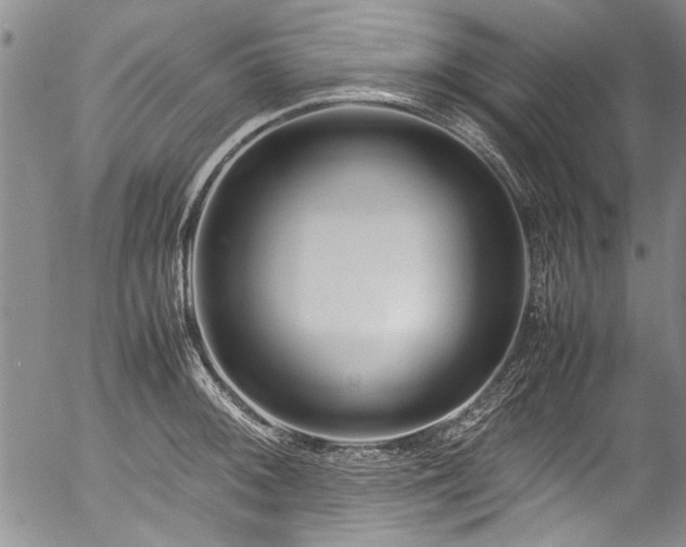 X0000054471092200508011454