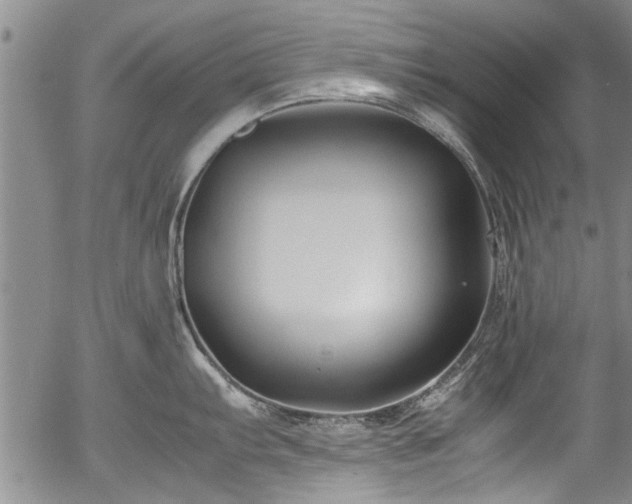 X0000054471103200508011454