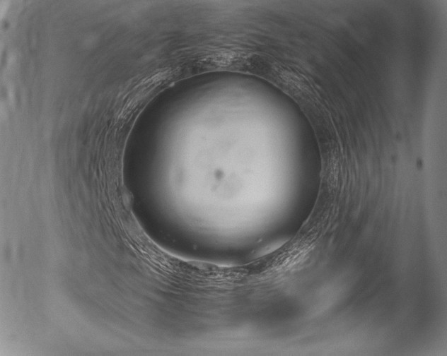 X0000054471105200508011453