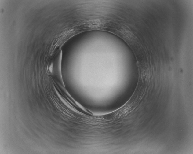 X0000054471106200508011453