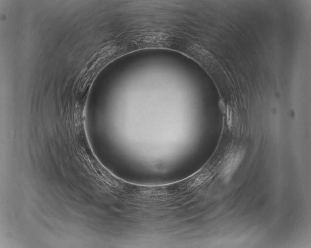 X0000054471107200508011453