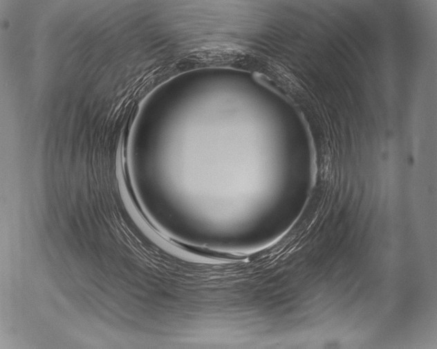 X0000054471108200508011453