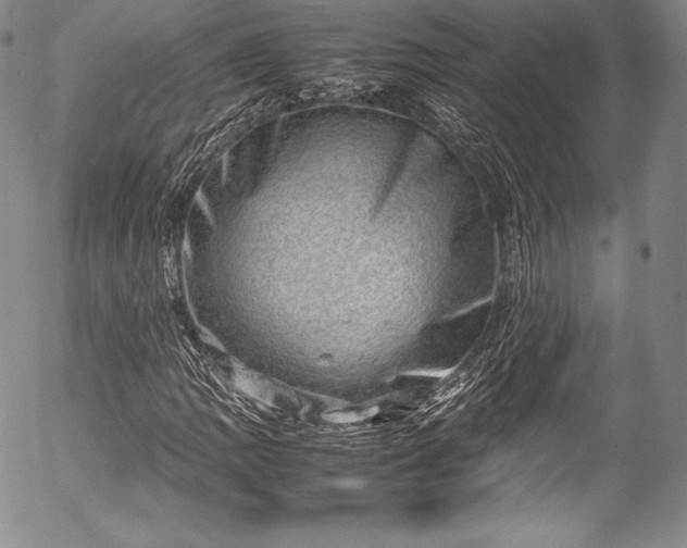 X0000054471109200508011453