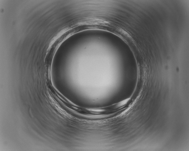 X0000054471114200508011453