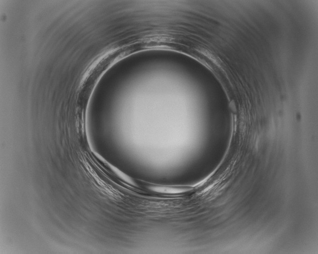 X0000054471115200508011453
