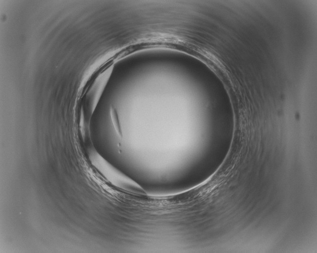 X0000054471120200508011454