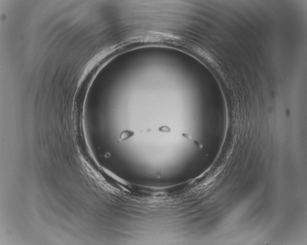 X0000054471122200508011454
