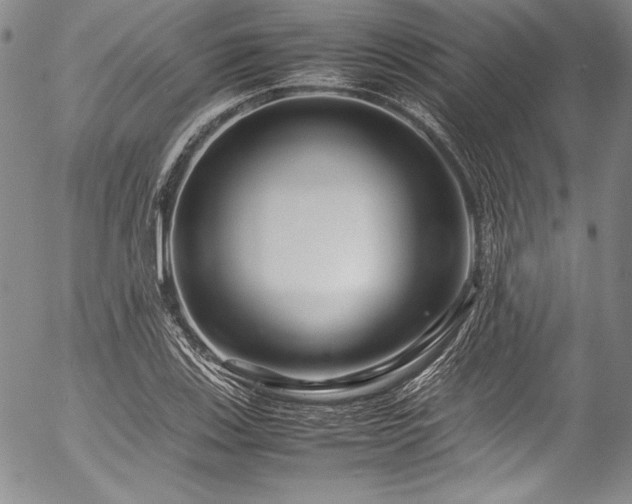 X0000054471123200508011454