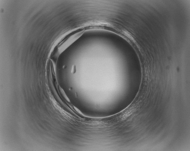 X0000054471124200508011454