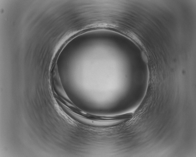 X0000054471132200508011454