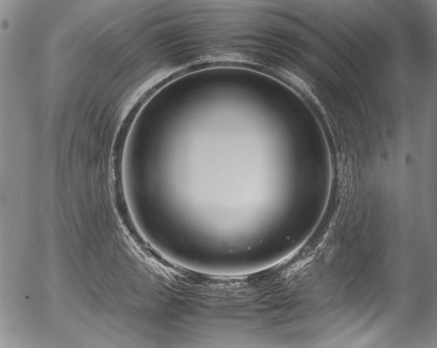 X0000054471133200508011454