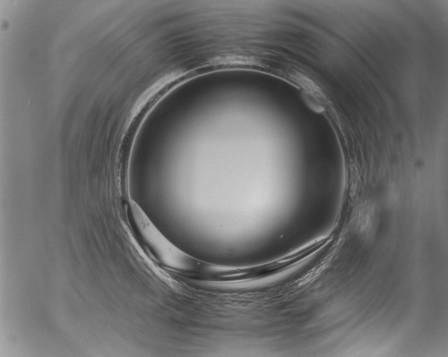 X0000054471141200508011454