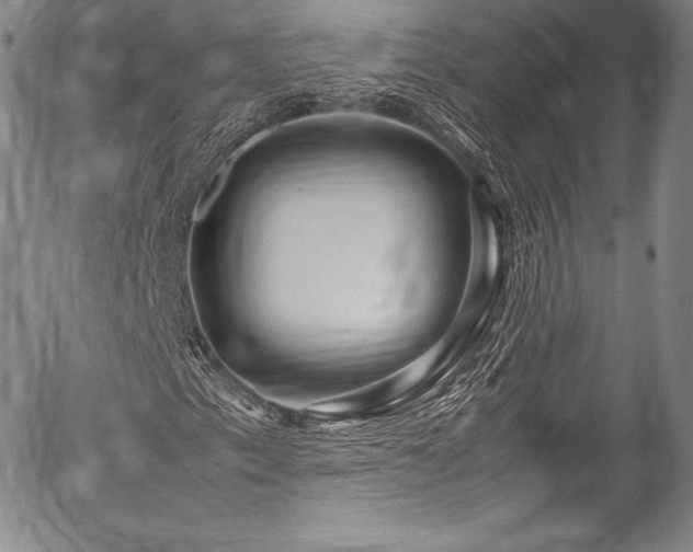 X0000054471153200508011453