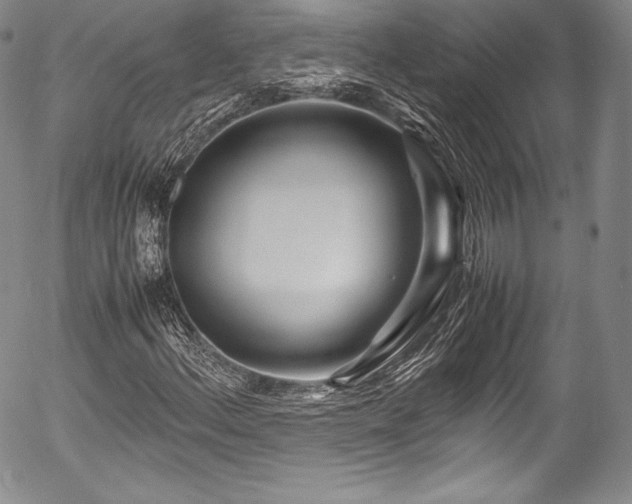 X0000054471156200508011453