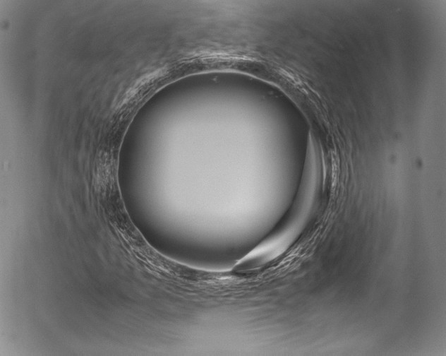 X0000054471157200508011453