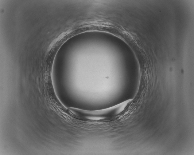 X0000054471159200508011453
