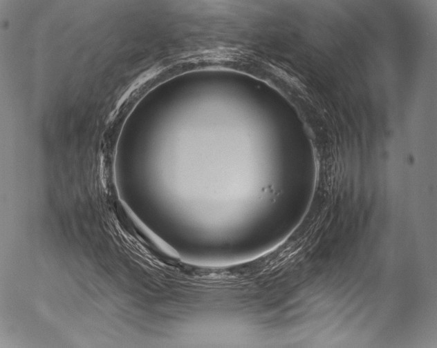X0000054471160200508011453