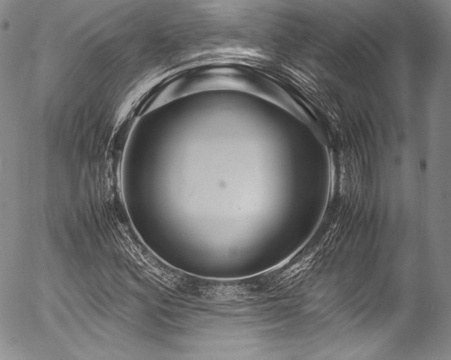 X0000054471164200508011453