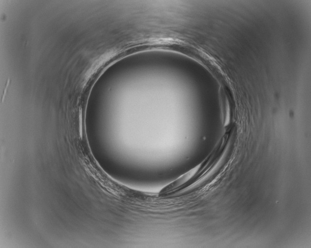 X0000054471171200508011453